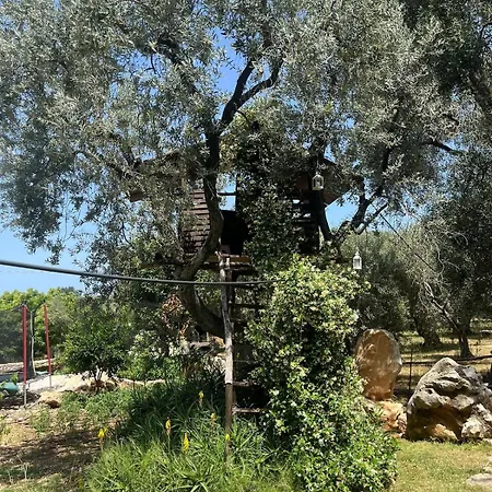 Appartamento La Casa Del Nonno *