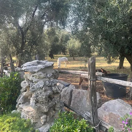 La Casa Del Nonno