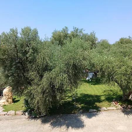 Lägenhet La Casa Del Nonno *